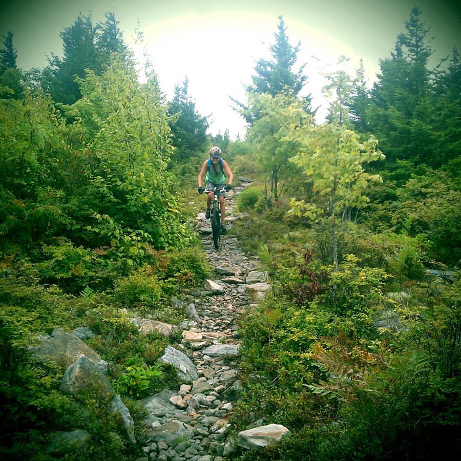 Mountain biker navigating a rocky trail surrounded by lush greenery and trees. Spruce Knob Loop mountain bike trail.