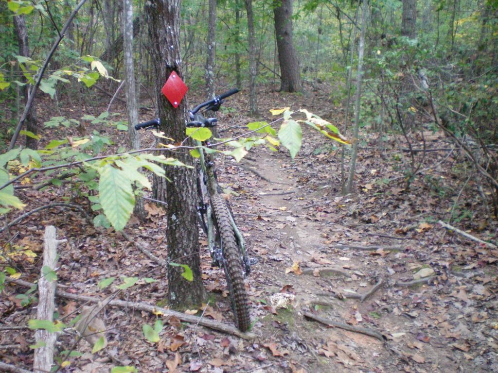 A mountain bike leaning against a tree along a narrow dirt trail, surrounded by greenery and fallen leaves in a wooded area. A red trail marker is visible on the tree, indicating the path's direction. Walnut Creek mountain bike trail.