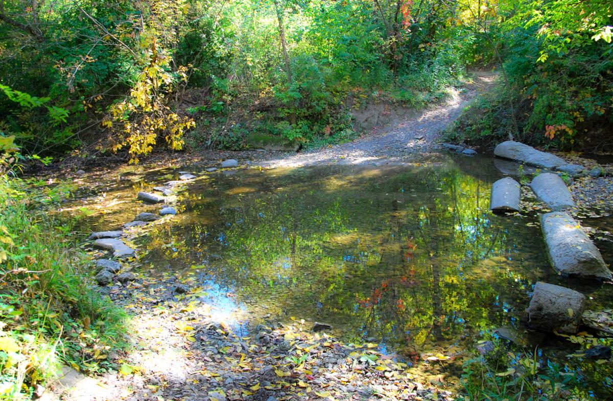 Alt text: A peaceful natural scene featuring a small, clear pond with a few stepping stones leading across it. Surrounding greenery and colorful foliage reflect in the water, with a path visible on the right side, indicating a trail through the lush environment. Franke Park mountain bike trail.