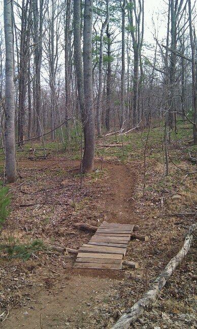 A narrow dirt path winding through a forest, with tall trees and sparse underbrush. A small wooden bridge crosses the path, providing passage over a section of the trail. The scene is calm and natural, with a mix of bare branches and evergreen needles. Woolwine Trails [Shiners Revenge] mountain bike trail.
