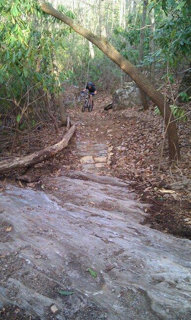 A cyclist navigating a rocky and wooded mountain biking trail. The path features a steep descent with exposed rocks and a fallen log, surrounded by greenery and trees in a natural setting. Woolwine Trails [Shiners Revenge] mountain bike trail.
