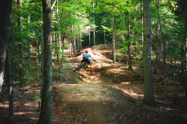 A mountain biker performing a jump on a dirt track through a wooded area. The scene features tall trees and lush greenery, with sunlight filtering through the leaves, creating a vibrant outdoor atmosphere. Crystal Creek mountain bike trail.