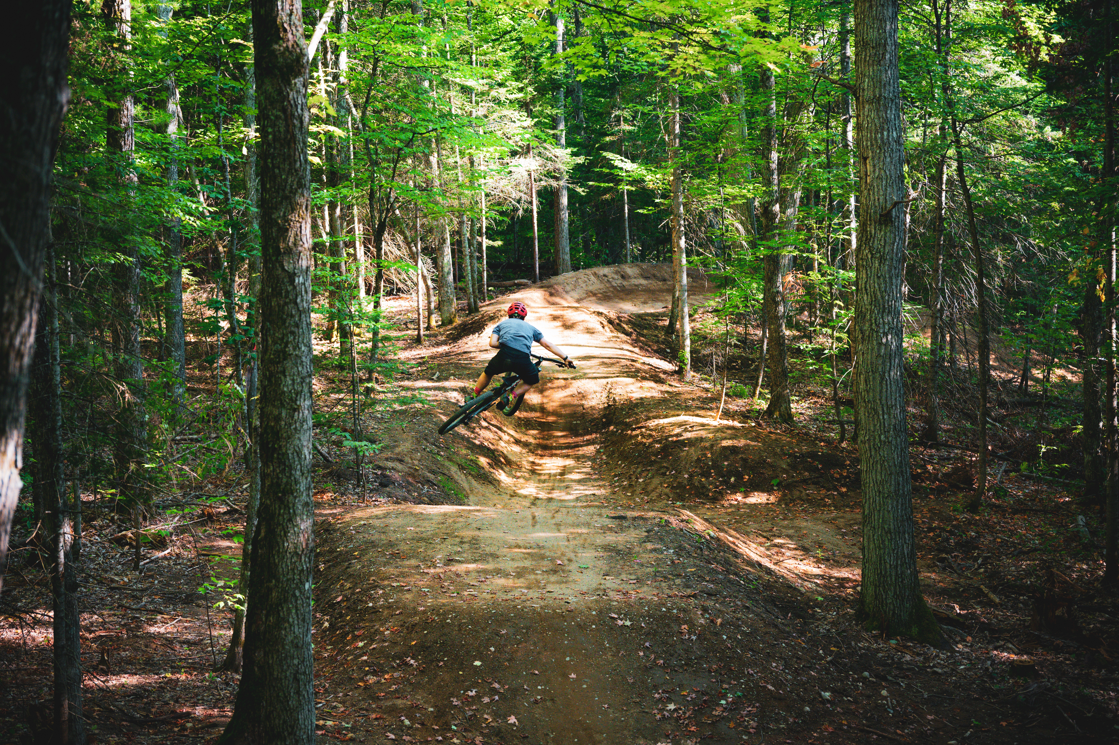 A mountain biker performing a jump on a dirt track through a wooded area. The scene features tall trees and lush greenery, with sunlight filtering through the leaves, creating a vibrant outdoor atmosphere. Crystal Creek mountain bike trail.