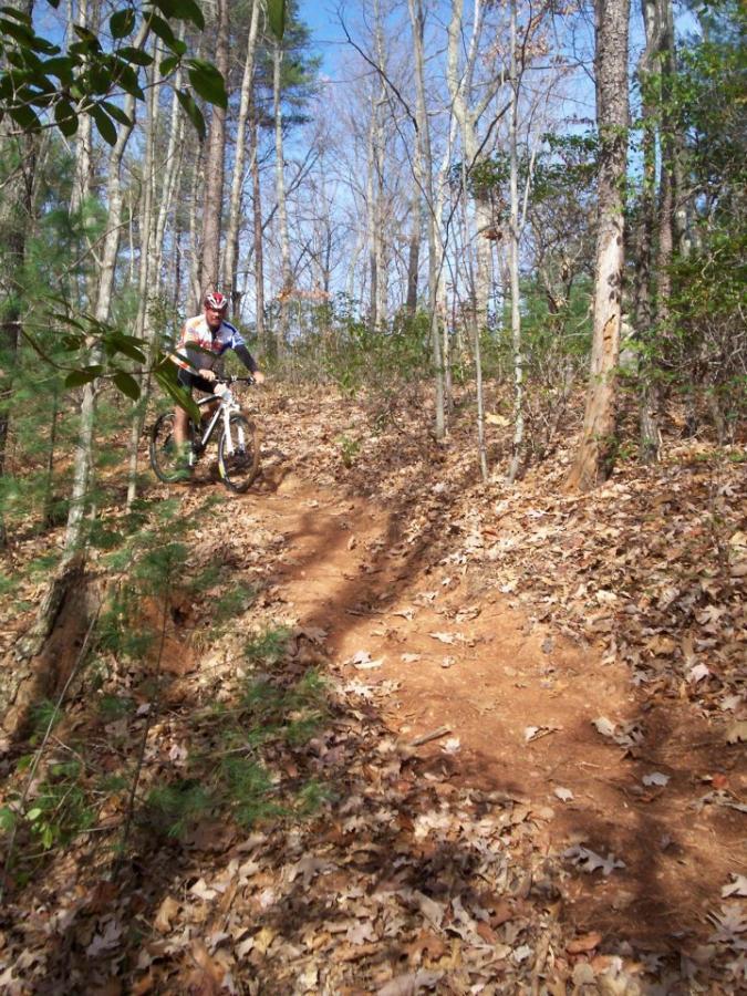 A person riding a mountain bike down a dirt trail surrounded by trees and scattered autumn leaves. The blue sky is visible above, indicating a bright day. Woolwine Trails [Shiners Revenge] mountain bike trail.