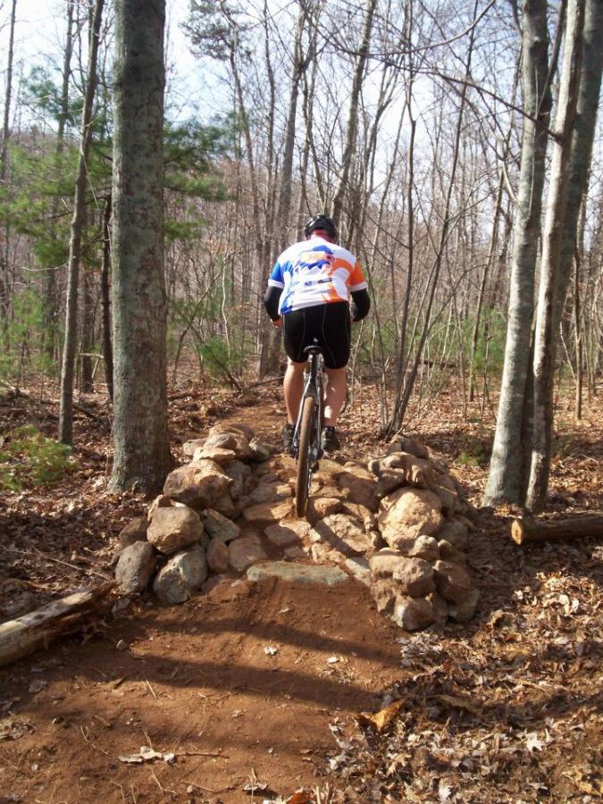 A mountain biker riding over a rocky bridge on a dirt trail, surrounded by trees and underbrush. The cyclist is wearing a colorful jersey and shorts. The scene captures a moment of outdoor adventure and nature. Woolwine Trails [Shiners Revenge] mountain bike trail.