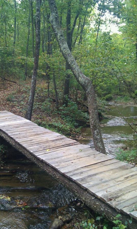 A wooden footbridge extends over a small stream, surrounded by lush green trees and foliage. The scene captures the tranquility of a forested area, with fallen leaves scattered on the ground and the gentle flow of water visible beneath the bridge. Woolwine Trails [Shiners Revenge] mountain bike trail.
