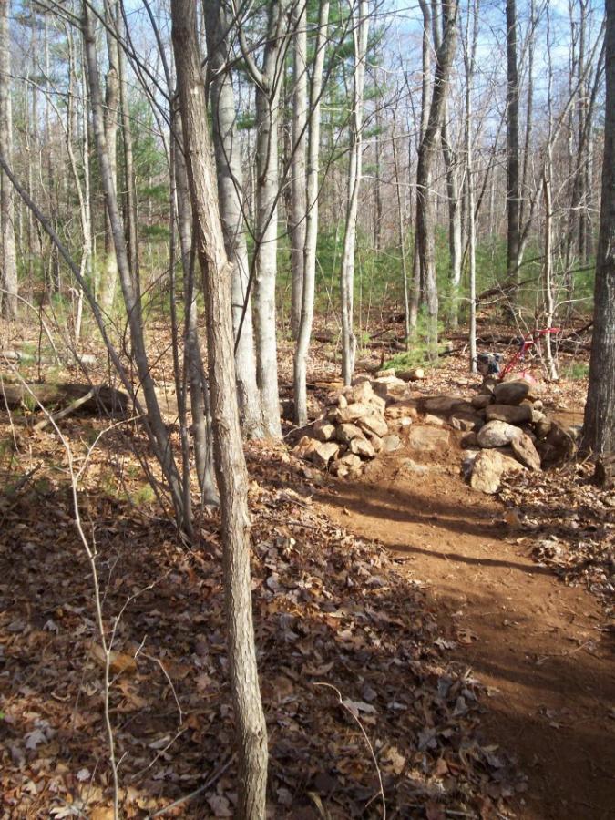 A trail in a wooded area with leaf-covered ground, surrounded by bare trees and a few evergreen trees. In the foreground, there is a small rock formation along the path, leading deeper into the forest. Woolwine Trails [Shiners Revenge] mountain bike trail.