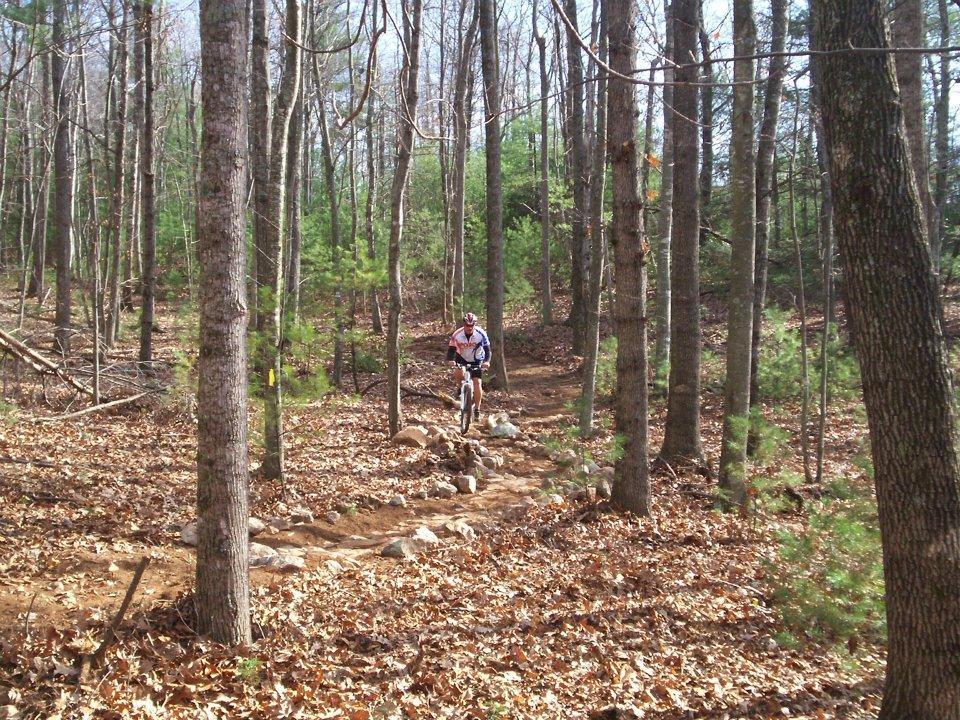 A cyclist riding a mountain bike along a rocky trail in a wooded area, surrounded by tall trees and fallen leaves, with a mix of green foliage in the background. Woolwine Trails [Shiners Revenge] mountain bike trail.