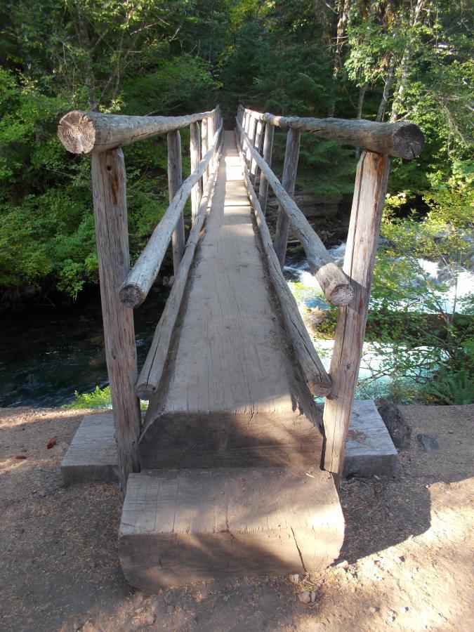 A rustic wooden footbridge with log railings spanning a narrow stream, surrounded by lush greenery and sunlight filtering through trees. The bridge leads into a natural setting, inviting exploration. Mckenzie River Trail mountain bike trail.