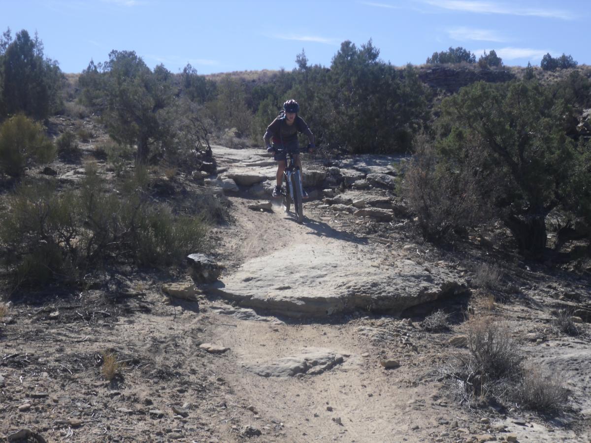 A person riding a mountain bike on a rocky trail surrounded by shrubs and small trees under a clear blue sky. Holy Cross mountain bike trail.