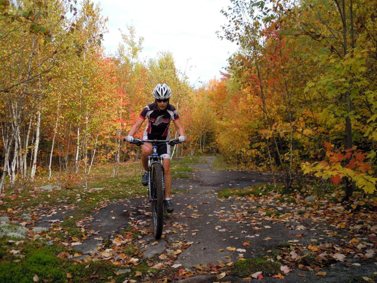 A cyclist in a helmet navigates a path through a colorful autumn forest, surrounded by trees with vibrant orange and yellow leaves. The ground is scattered with fallen leaves, and the scene captures the beauty of nature during the fall season. Chantecler mountain bike trail.