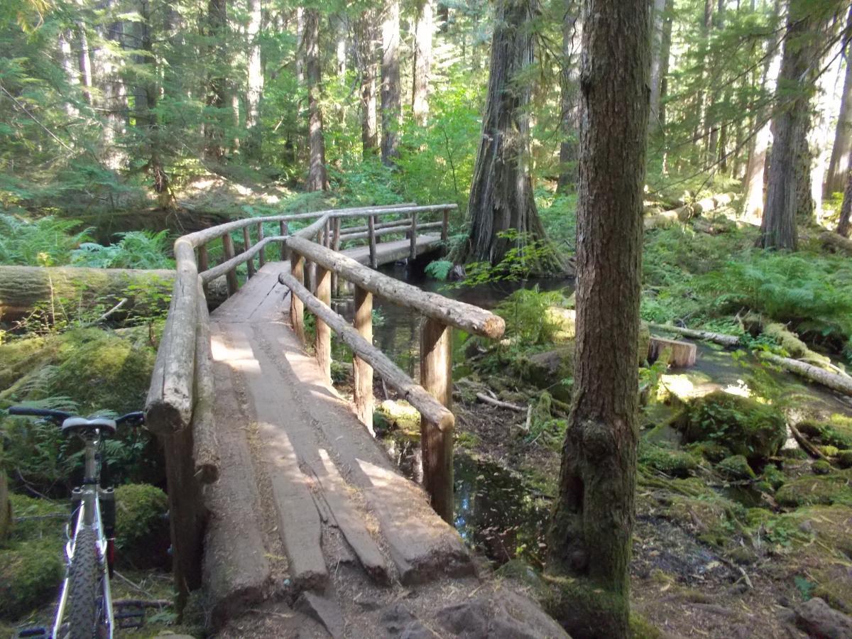 A wooden bridge curving over a small stream in a lush, green forest. The scene includes tall trees, ferns, and undergrowth, with a mountain bike leaning against the railing of the bridge. Sunlight filters through the trees, creating a serene and inviting atmosphere. Mckenzie River Trail mountain bike trail.