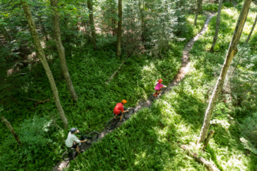 Three mountain bikers ride along a winding dirt trail through a lush green forest, surrounded by tall trees and dense underbrush. The scene is bright and vibrant, showcasing the natural beauty of the outdoors. Red Pine mountain bike trail.
