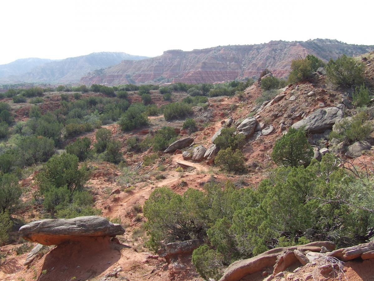 A scenic landscape featuring red rock formations and a winding dirt path surrounded by low shrubs and plants. In the background, distant hills and cliffs create a layered effect against a hazy sky. The terrain is predominantly rocky and arid, typical of a southwestern environment. Palo Duro Canyon mountain bike trail.