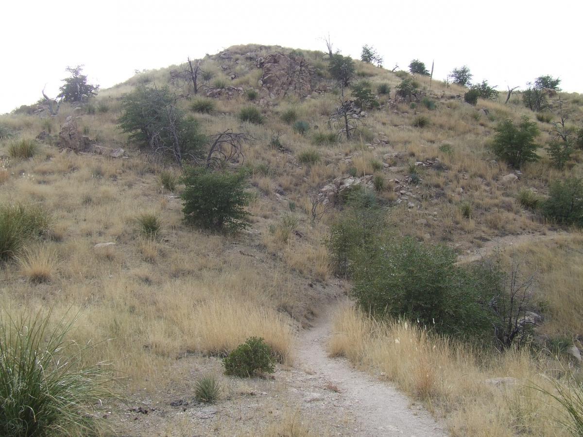 A rugged hillside covered with dry grass and scattered shrubs, featuring rocky outcrops and a winding dirt path leading up the slope. The sky is overcast, hinting at potential rain. Bug Springs mountain bike trail.