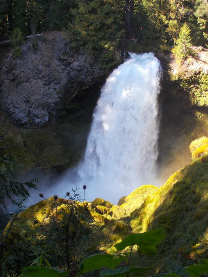 A breathtaking waterfall cascading down rocky cliffs, surrounded by lush greenery and moss-covered rocks. Sunlight filters through the trees, creating a vibrant and serene atmosphere in a natural landscape. Mckenzie River Trail mountain bike trail.