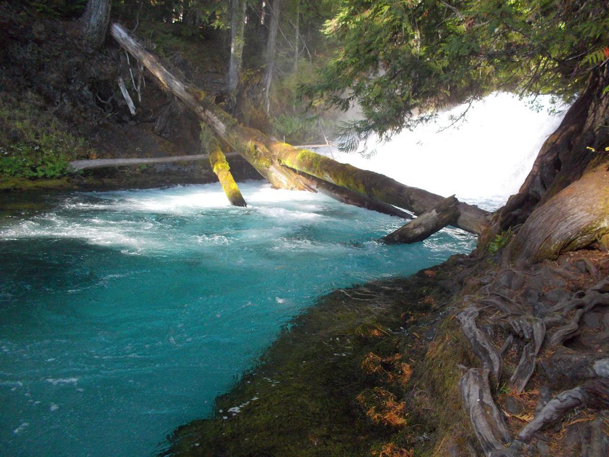 A serene landscape featuring a turquoise river with white rapids, framed by lush greenery and trees. A fallen log covered in moss crosses the river, adding a natural element to the scene. The sunlight filters through the trees, creating a peaceful atmosphere. Mckenzie River Trail mountain bike trail.