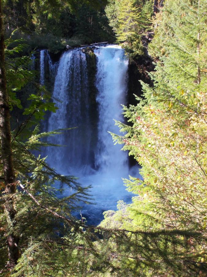 A picturesque waterfall cascading down rocky cliffs, surrounded by lush green trees and foliage. The water creates a mist as it hits the pool below, with sunlight filtering through the leaves, highlighting the vibrant colors of nature. Mckenzie River Trail mountain bike trail.