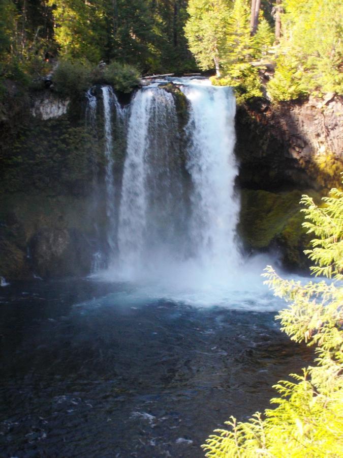A serene waterfall cascading down rocky cliffs into a tranquil pool, surrounded by lush green trees and foliage. The sunlight filters through the canopy, creating a peaceful and natural atmosphere. Mist rises from the water's surface, enhancing the sense of tranquility. Mckenzie River Trail mountain bike trail.
