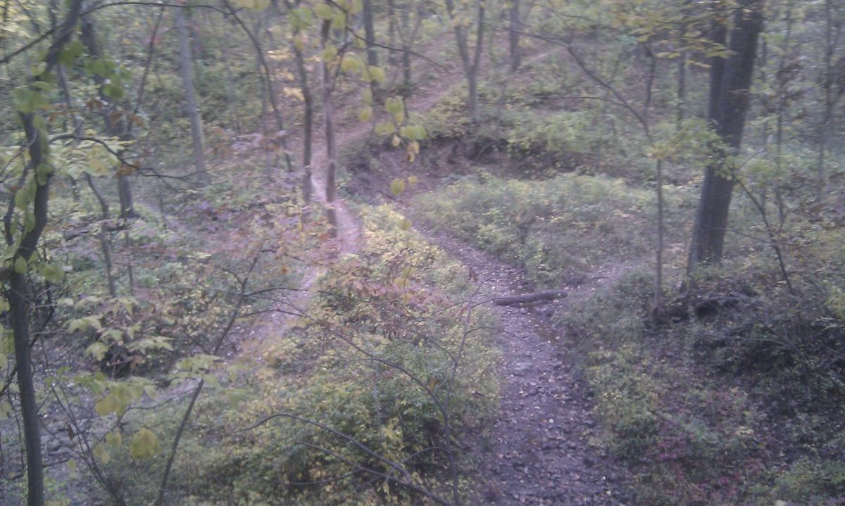 A winding dirt path through a dense, natural forest, surrounded by greenery and trees showing hints of autumn colors. The path curves out of view, inviting exploration in a tranquil outdoor setting. Sunderbruch Park mountain bike trail.
