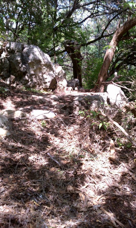 A small, rocky pathway through a densely wooded area, featuring scattered leaves and sunlight filtering through the trees. The scene is tranquil and natural, with large stones and greenery surrounding the trail. Salado Creek mountain bike trail.