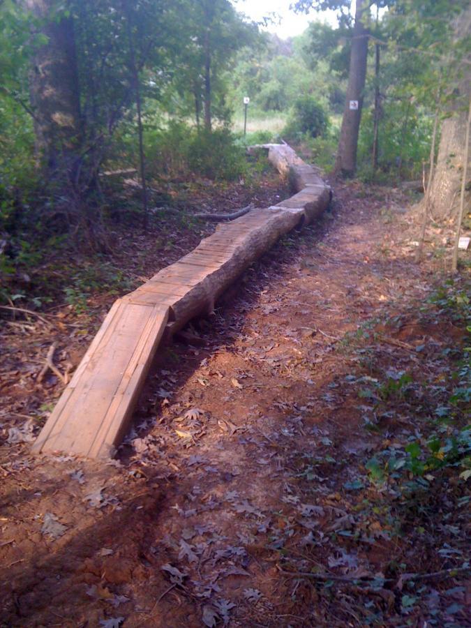 A wooden bridge made from a log and planks, extending over a dirt trail in a wooded area, surrounded by greenery and fallen leaves. Back Yard Trails mountain bike trail.