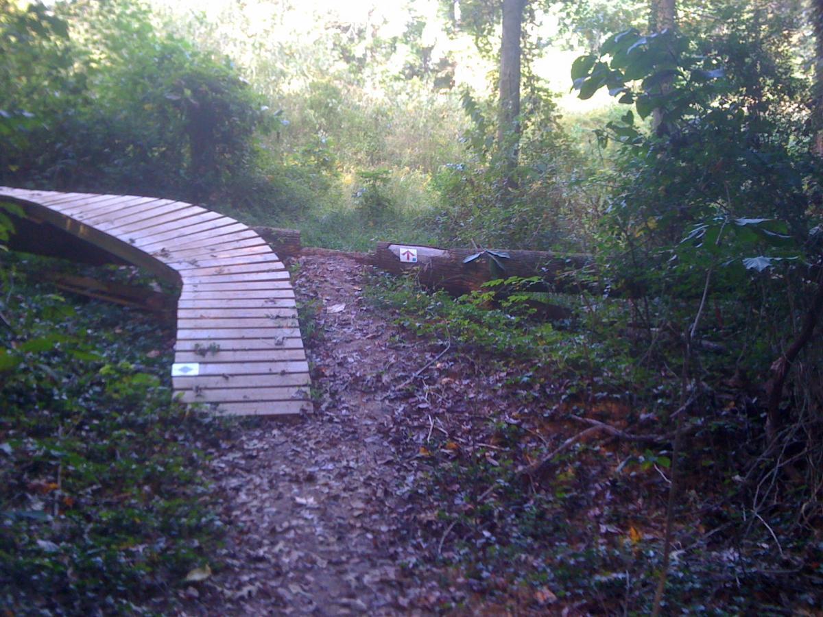 A winding wooden path curves through a forest, leading into a grassy area. A fallen log rests alongside the trail, surrounded by green foliage and leaves on the ground. The scene is serene, with dappled sunlight filtering through the trees. Back Yard Trails mountain bike trail.