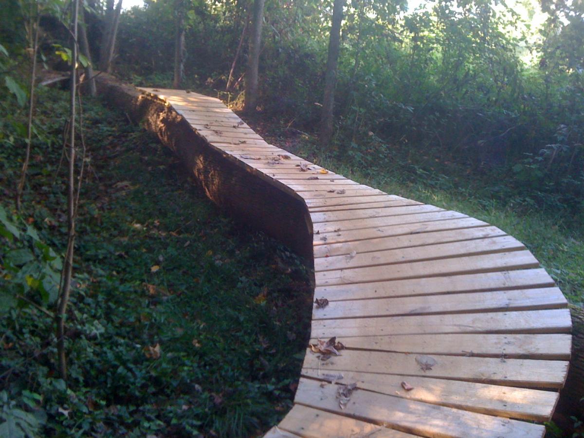 A curved wooden walkway meanders through a lush, green forest, surrounded by trees and undergrowth, with scattered leaves on the path. Back Yard Trails mountain bike trail.