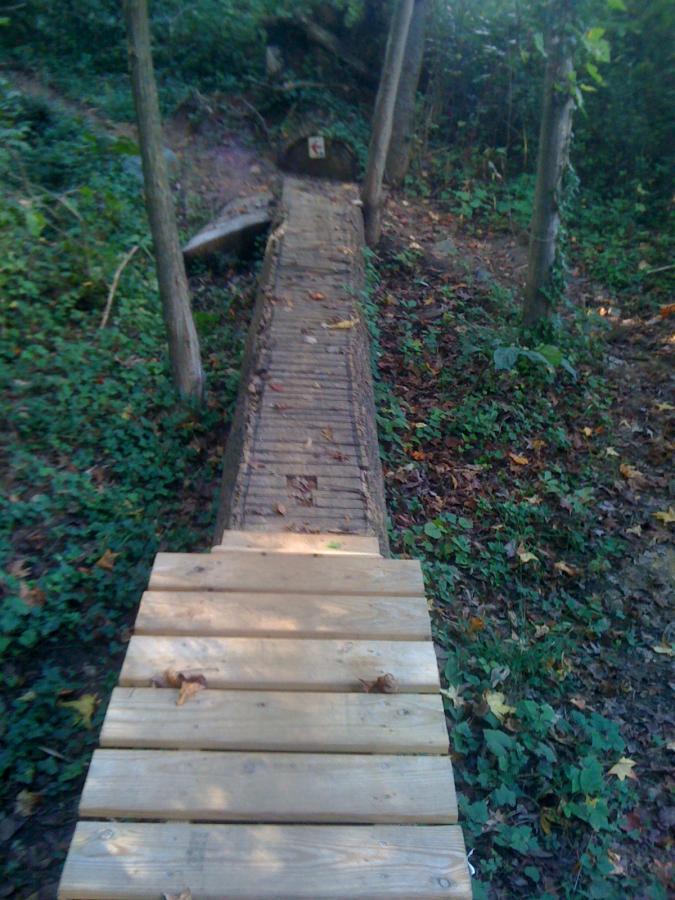 A narrow wooden bridge leads through a forested area, surrounded by greenery and fallen leaves. The bridge is constructed from wooden planks, providing passage over a small incline or gap in the terrain. Trees frame both sides of the path, enhancing the natural setting. Back Yard Trails mountain bike trail.