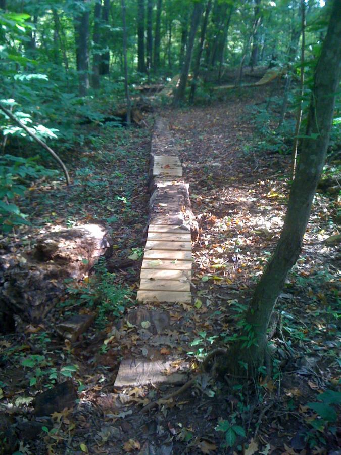 A narrow wooden walkway stretches through a forested area, surrounded by trees and autumn leaves scattered on the ground. The path is made of planks resting on logs, leading into the dense greenery. Back Yard Trails mountain bike trail.