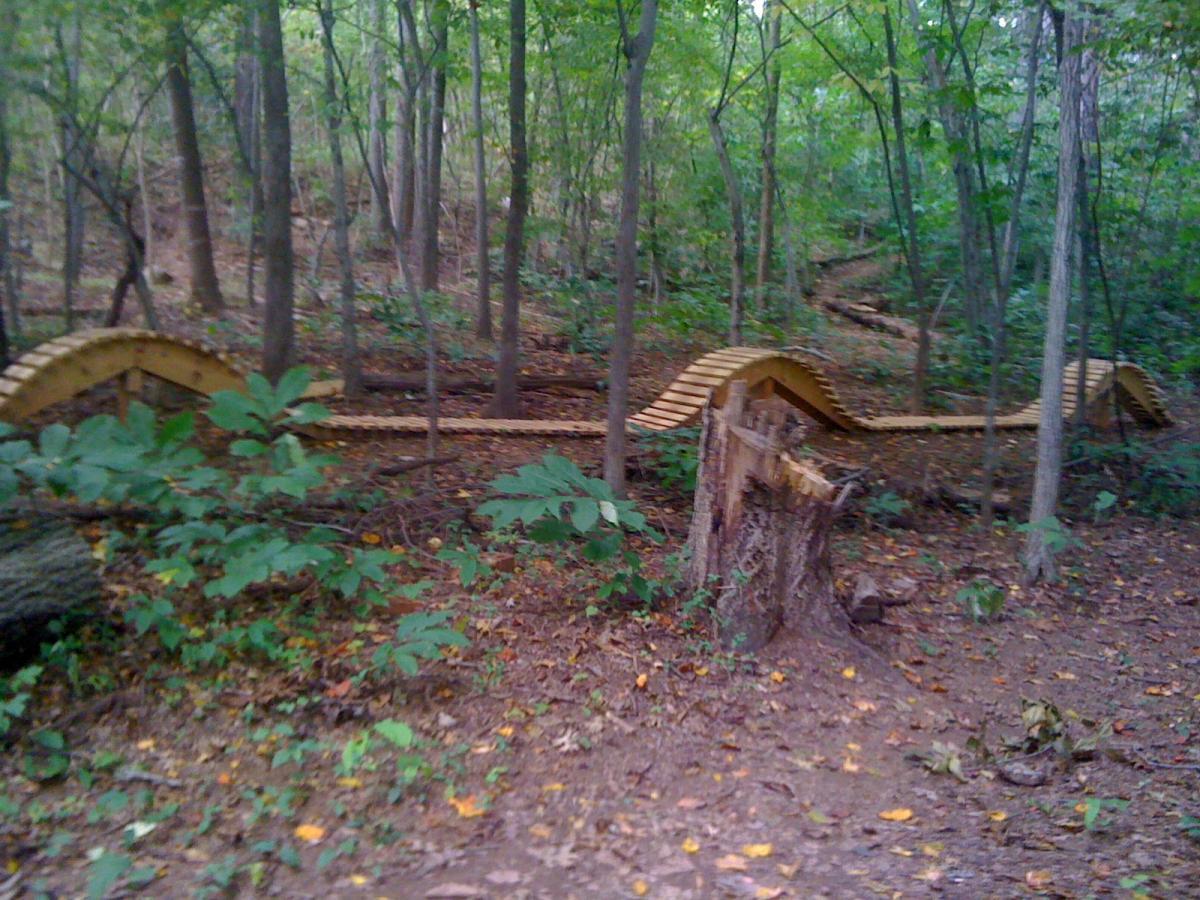 A winding wooden trail made of slatted boards through a dense forest, surrounded by green foliage and trees. The path resembles a series of gentle waves and is partially obscured by underbrush and fallen leaves. Back Yard Trails mountain bike trail.