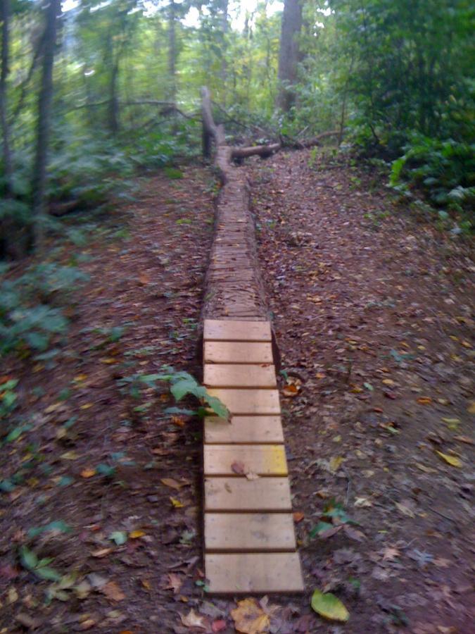 A narrow wooden bridge crosses a muddy path in a dense forest, surrounded by lush greenery and fallen leaves. The path is slightly overgrown, indicating it is in a natural, unpaved area. Back Yard Trails mountain bike trail.