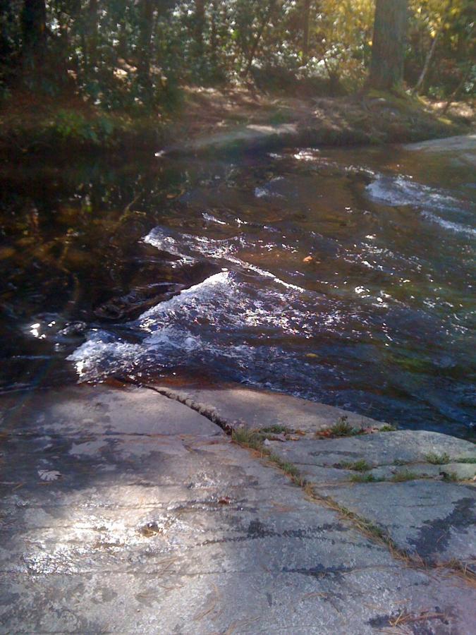 A tranquil scene featuring a gently flowing stream over smooth, textured rocks, surrounded by lush greenery. Sunlight filters through the leaves, casting soft shadows on the water's surface. DuPont State Recreational Forest mountain bike trail.