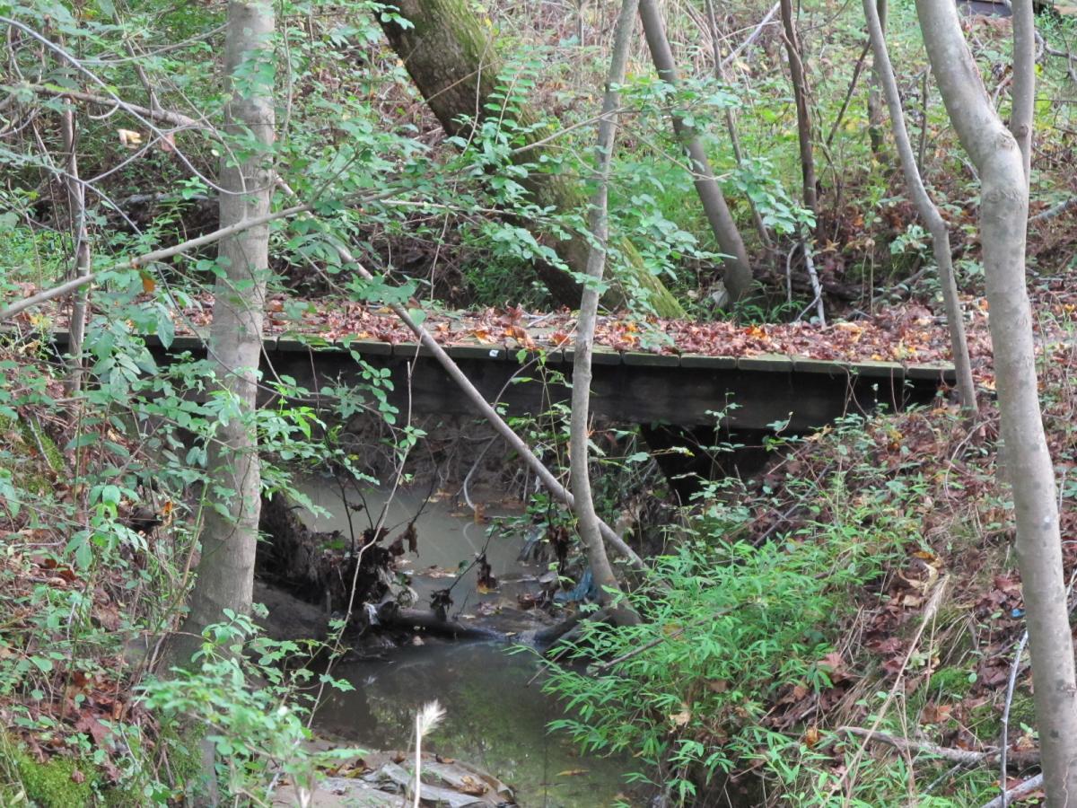 A small wooden bridge set amidst dense greenery, spanning over a shallow stream in a wooded area. The surroundings are filled with trees, shrubs, and fallen leaves, creating a peaceful natural scene. School For The Deaf Bike Trail mountain bike trail.