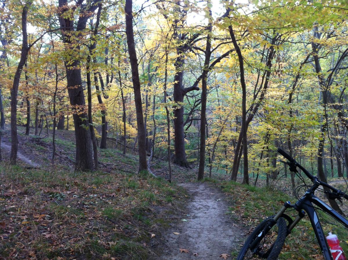 A serene wooded path in autumn, featuring vibrant yellow and orange leaves on the trees. In the foreground, a mountain bike leans against a tree, with a trail leading further into the forest. The landscape conveys a peaceful, natural setting perfect for outdoor activities. Jewel Park mountain bike trail.