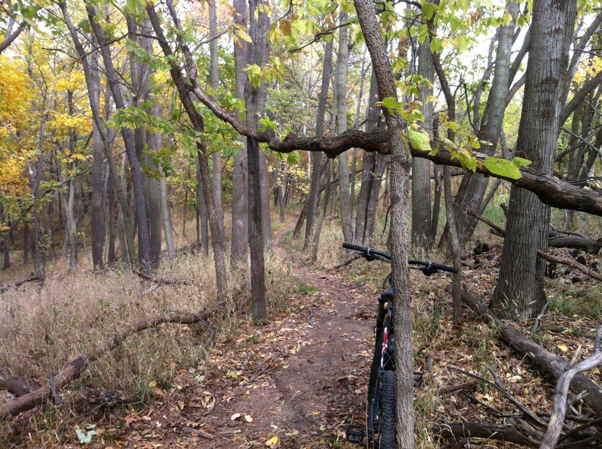A narrow dirt trail winding through a forest with autumn foliage, featuring trees with green and yellow leaves. A mountain bike is parked next to the trail, partially obscured by a fallen tree branch. Jewel Park mountain bike trail.