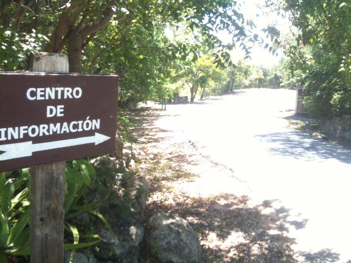 A signpost with the text "Centro de Información" pointing to the left, surrounded by lush greenery and a winding path in the background. The scene is well-lit, indicating a sunny day. Guanica State Forest mountain bike trail.