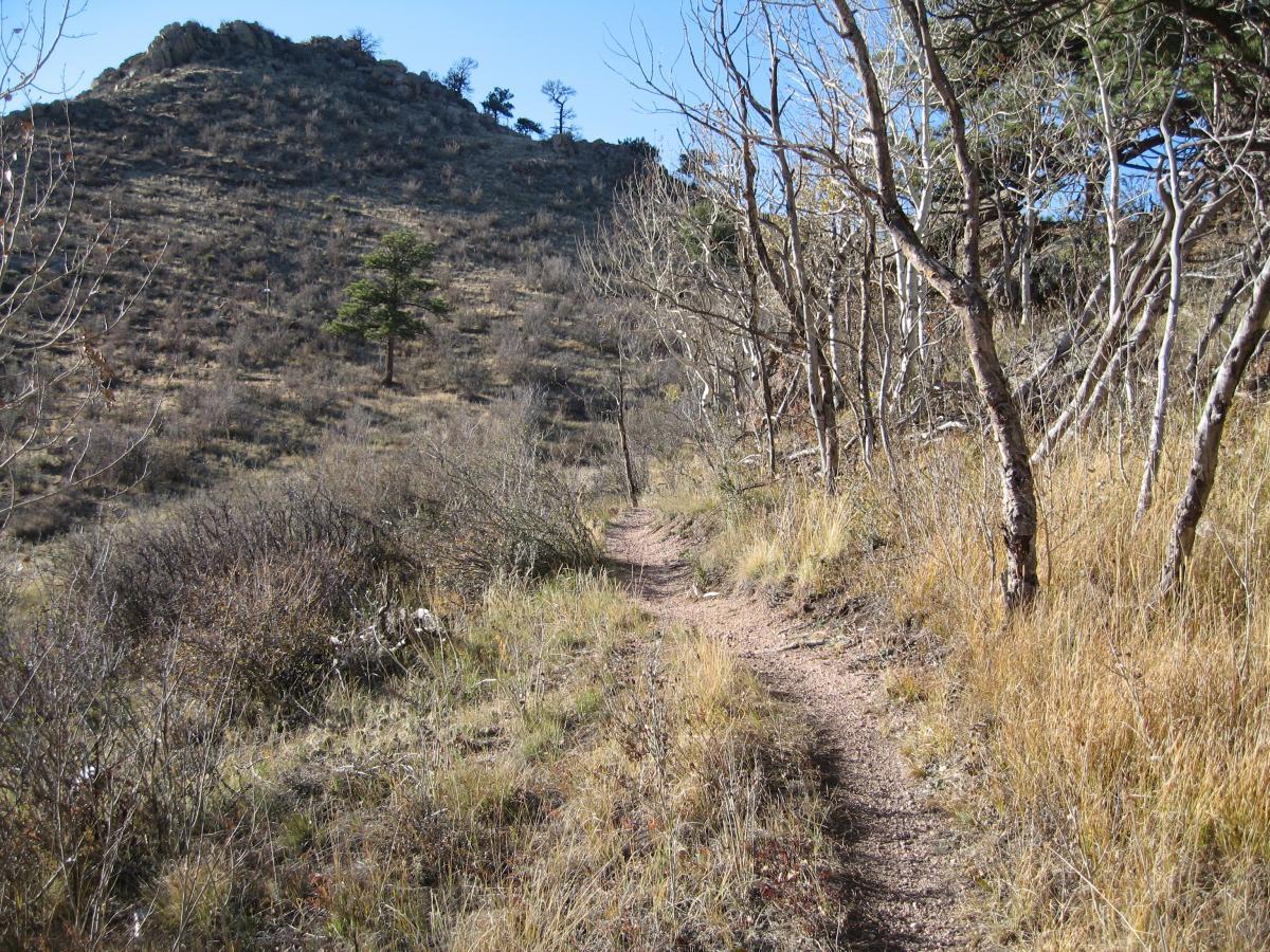 A winding dirt path leads through a landscape of dry grass and sparse vegetation, flanked by bare trees. In the background, a rocky hill rises against a clear blue sky. The scene evokes a tranquil, natural setting perfect for hiking or exploring. Curt Gowdy State Park mountain bike trail.