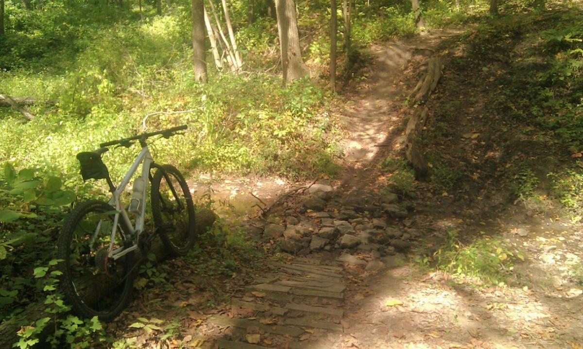 A mountain bike parked on a dirt trail surrounded by lush green foliage, with a rocky stream crossing and a nearby log. A winding path leads further into the forest. Sunderbruch Park mountain bike trail.
