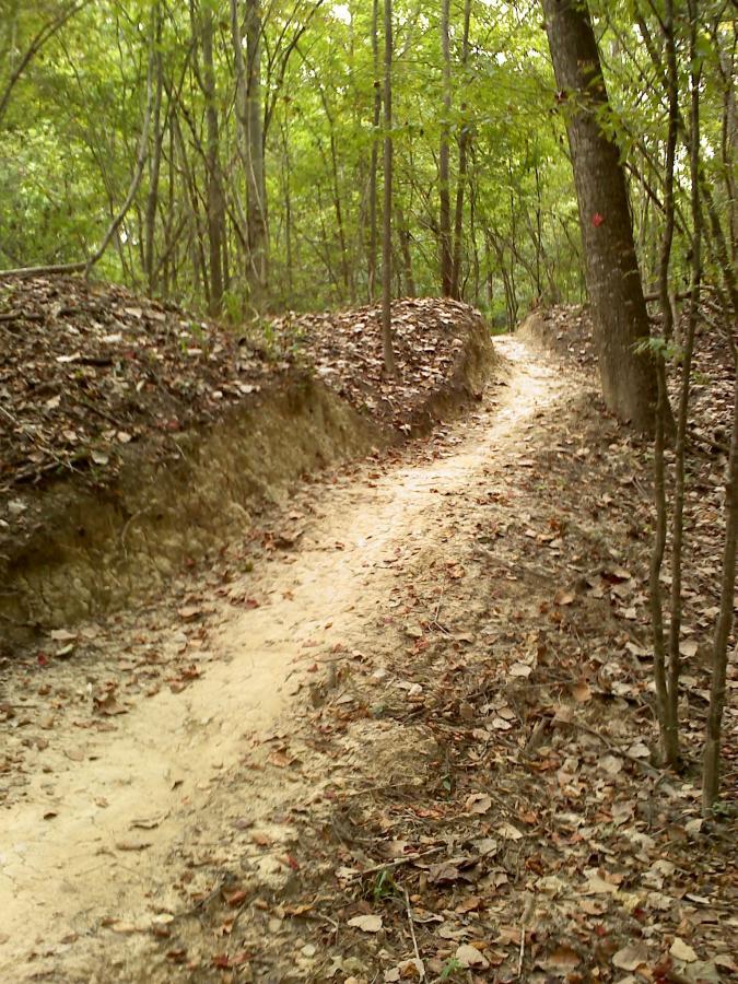 A winding dirt path through a wooded area, surrounded by trees with green foliage. The path has shallow trenches on either side and is covered with fallen leaves, indicating a natural setting ideal for hiking or walking. Wannamaker Park mountain bike trail.