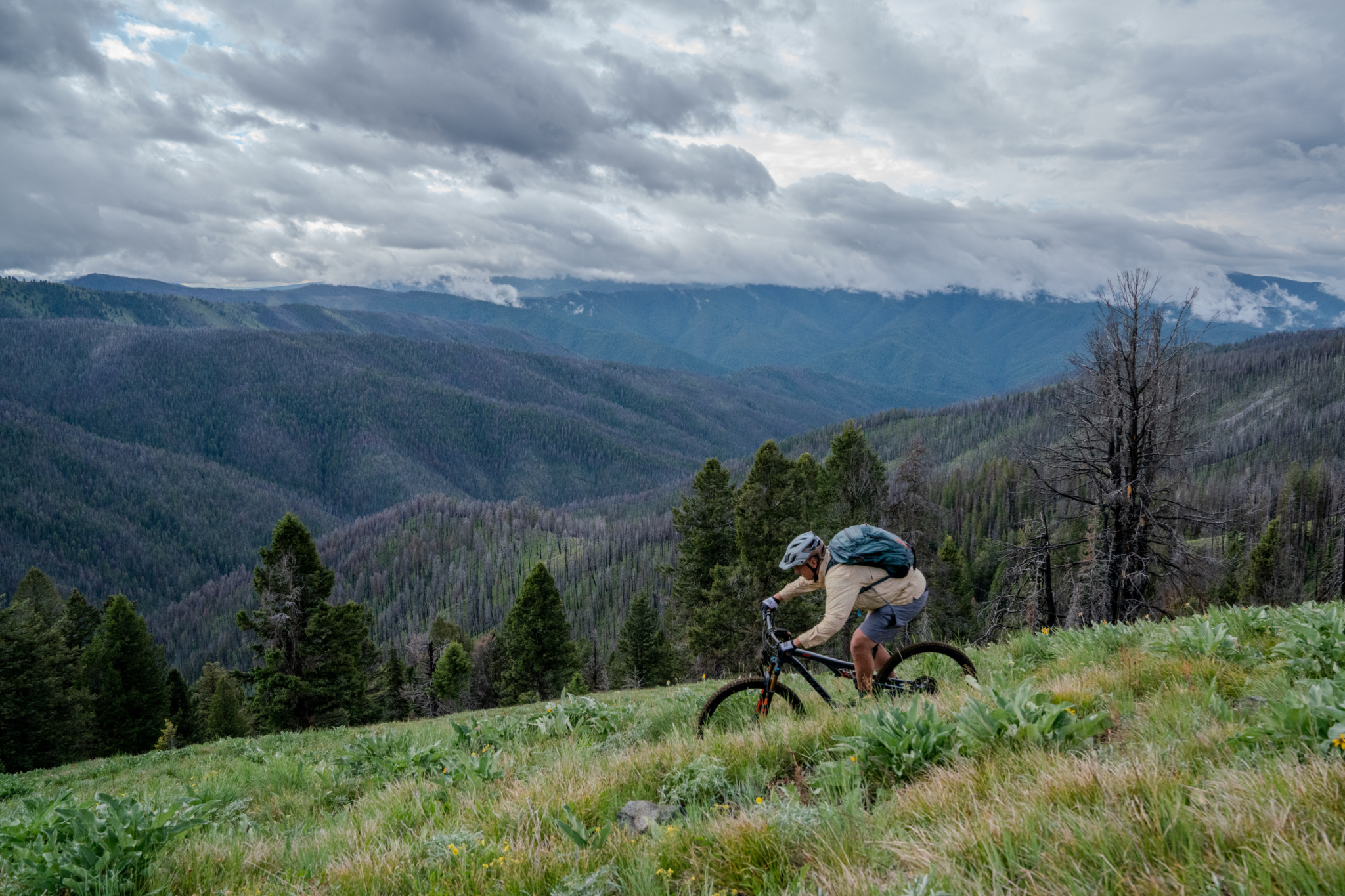 A person riding a mountain bike on a grassy slope, surrounded by a mountainous landscape with dense trees and distant hills under a partly cloudy sky. Chief Joseph Pass Area Trails mountain bike trail.