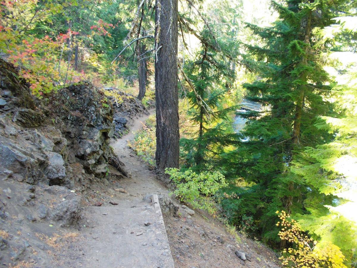 A winding dirt path bordered by rocky terrain and tall evergreen trees, with hints of autumn foliage, leads along a riverside in a tranquil forest setting. Mckenzie River Trail mountain bike trail.