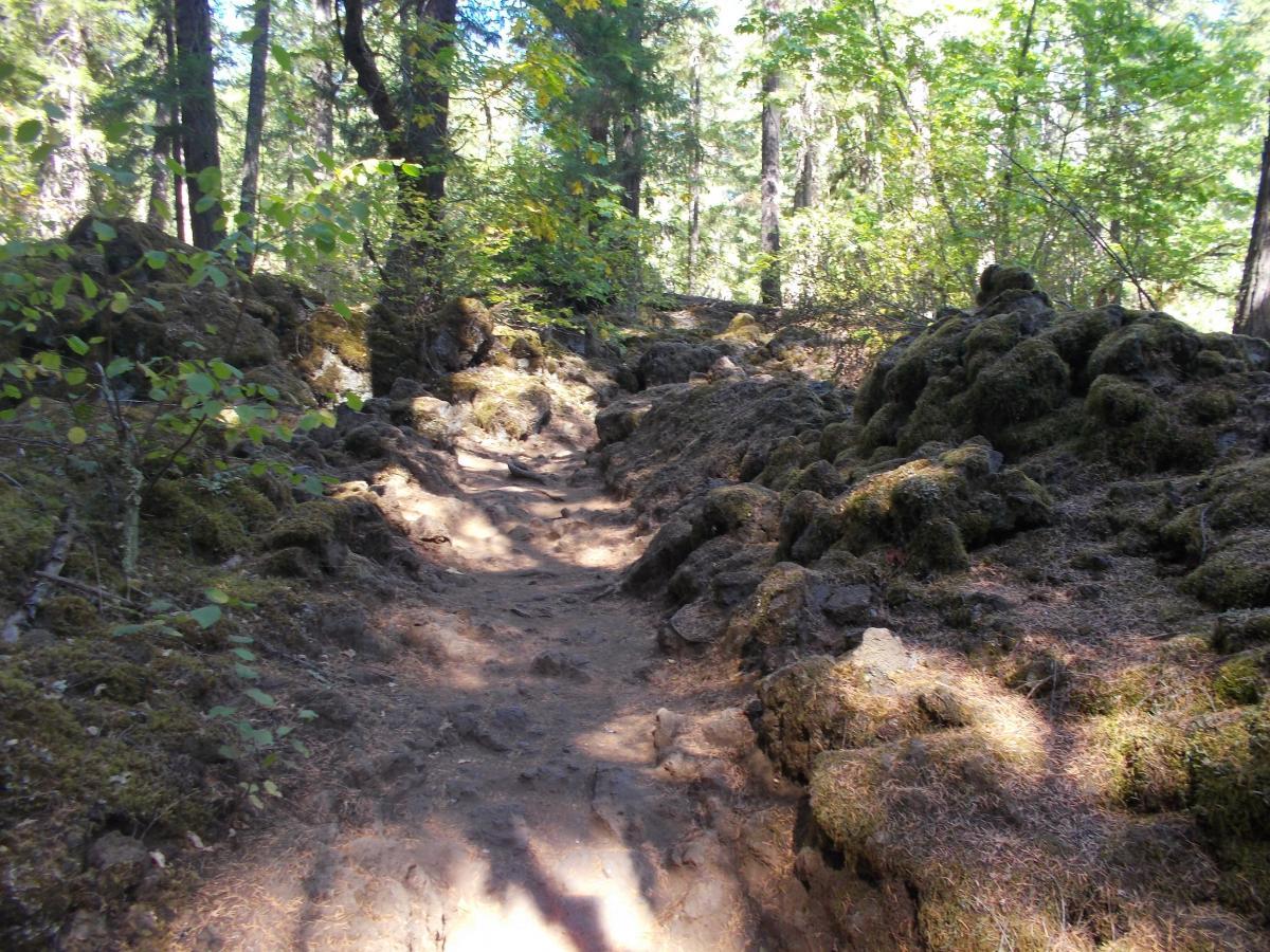 A narrow dirt path winding through a forested area, surrounded by rocky terrain covered in green moss and foliage, with sunlight filtering through the trees. Mckenzie River Trail mountain bike trail.