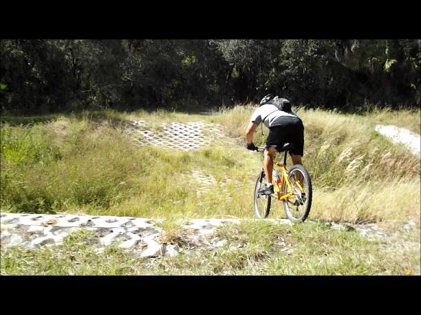 A person riding a mountain bike on a dirt trail, navigating over a section of textured terrain surrounded by tall grass and trees. North Port Mountain Bike Trails mountain bike trail.