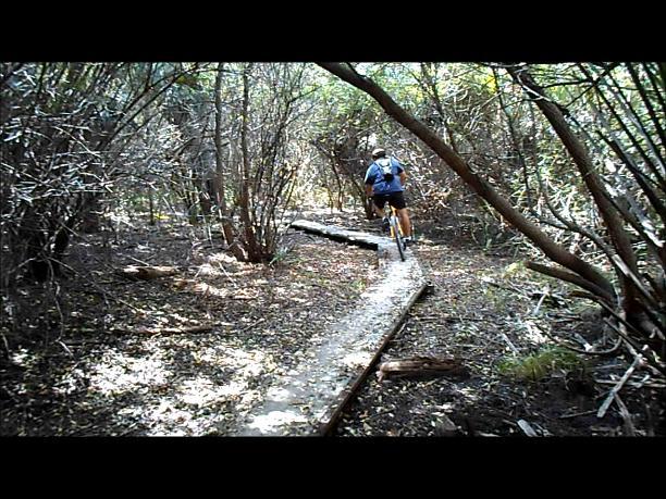 A person riding a mountain bike on a narrow wooden path through a dense forested area, surrounded by trees and underbrush. Sunlight filters through the foliage, creating dappled light on the ground. Caloosahatchee Regional Park mountain bike trail.