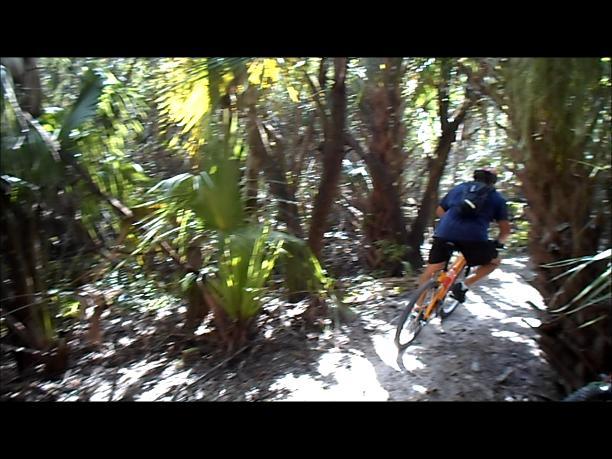 A person riding a mountain bike along a narrow trail through a dense, green forest, surrounded by tropical plants and trees. The cyclist is wearing a blue shirt and black shorts, with a backpack, as they navigate the path under dappled sunlight. Caloosahatchee Regional Park mountain bike trail.