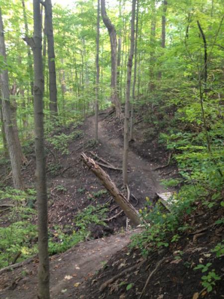 A wooded trail winding through a lush green forest, with tall trees on either side and a noticeable incline. The path is partially covered in dirt and roots, leading uphill and including a fallen log alongside the trail. Sunlight filters through the leaves, creating a vibrant, natural atmosphere. Don Valley mountain bike trail.