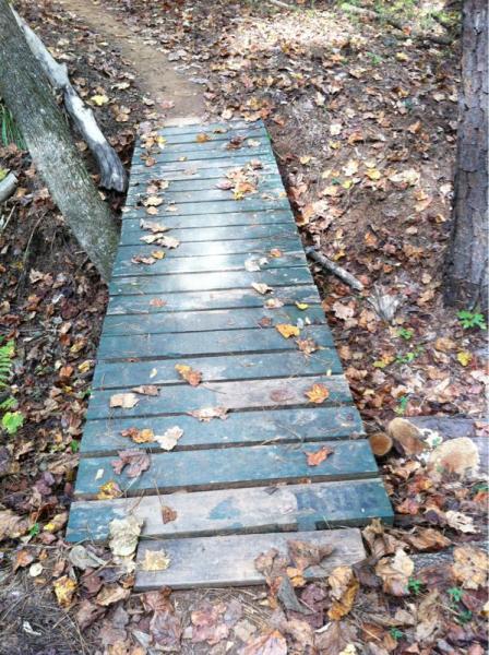  Allatoona Creek Park mountain bike trail.