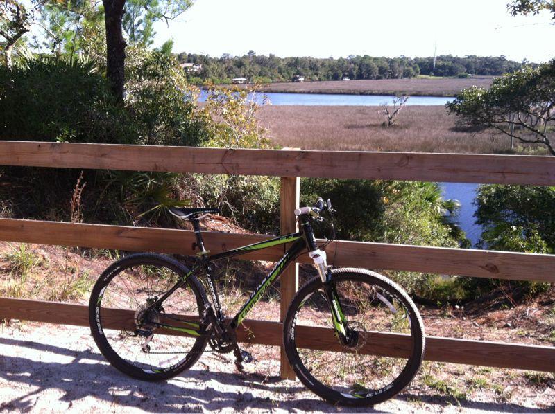 A mountain bike leaning against a wooden fence, overlooking a tranquil waterway surrounded by marshland and trees. Spruce Creek Preserve mountain bike trail.