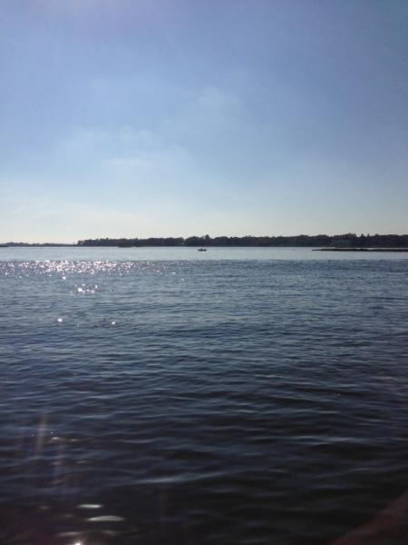 A serene view of a calm body of water under a clear blue sky, with a small boat visible in the distance. The surface of the water reflects shimmering sunlight, and lush greenery is seen along the shoreline in the background. Hartshorne Woods Park mountain bike trail.